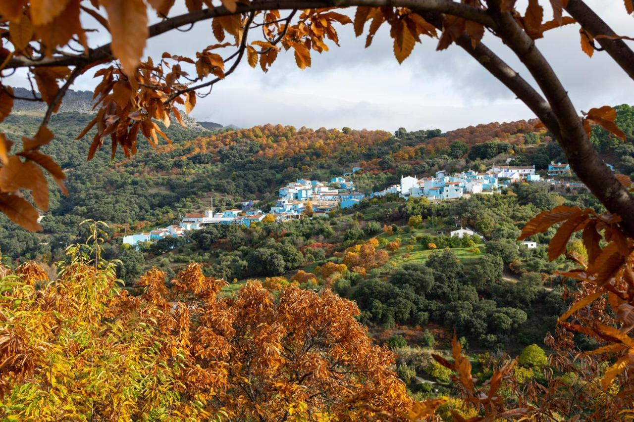 Hotel Secret Garden Retreats Júzcar Zewnętrze zdjęcie